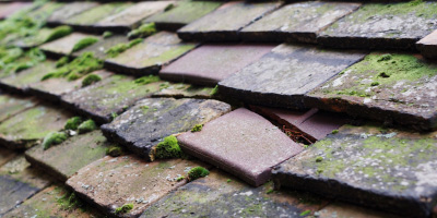 Alwalton roof repair costs